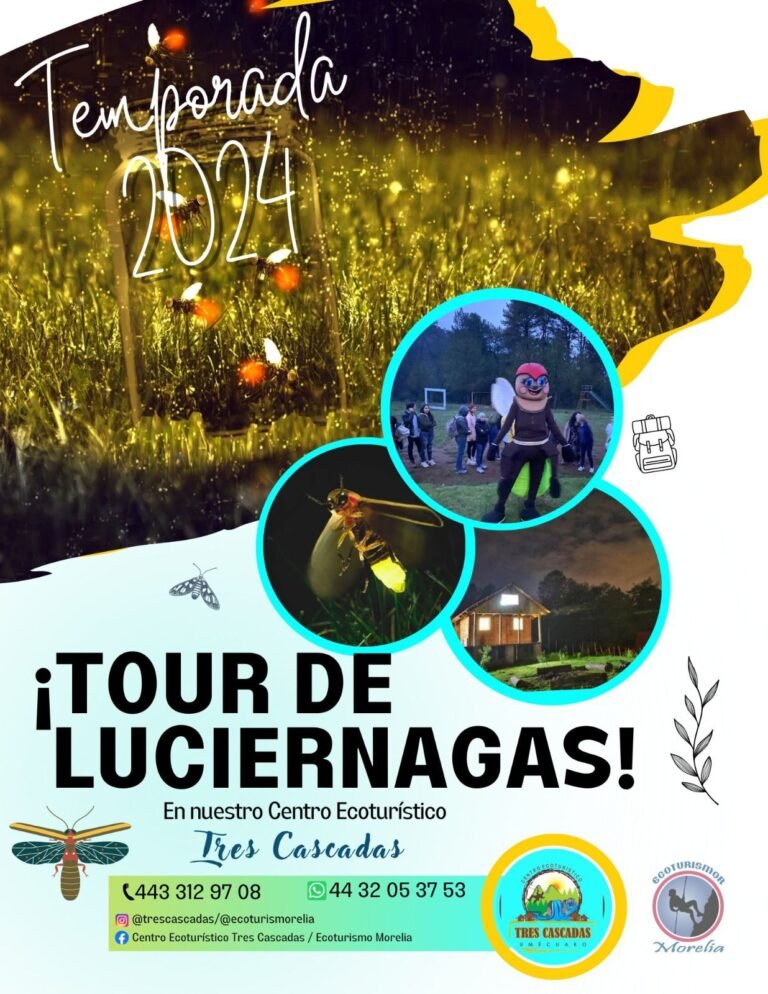 tour