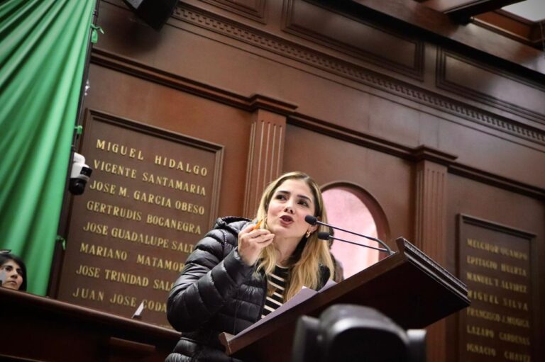 brissa diputada