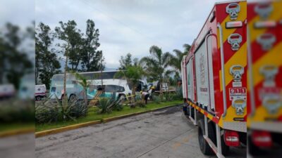 seguridad
