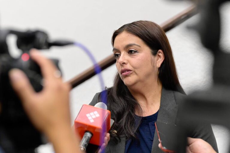 Diputada PAN