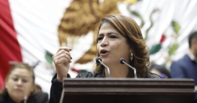 Reforma a Ley de Salud, el siguiente paso para legalizar aborto en Michoacán: Fabiola Alanís