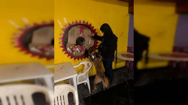 seguridad