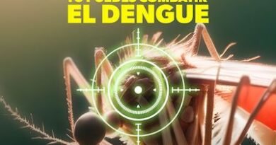 Así puedes prevenir el dengue en tu hogar; la SSM te dice cómo