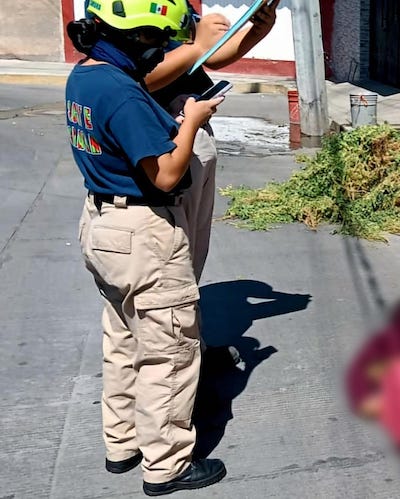 seguridad