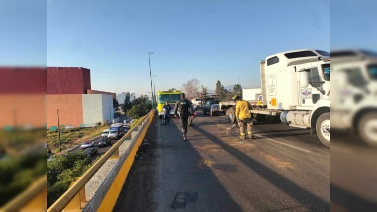 seguridad