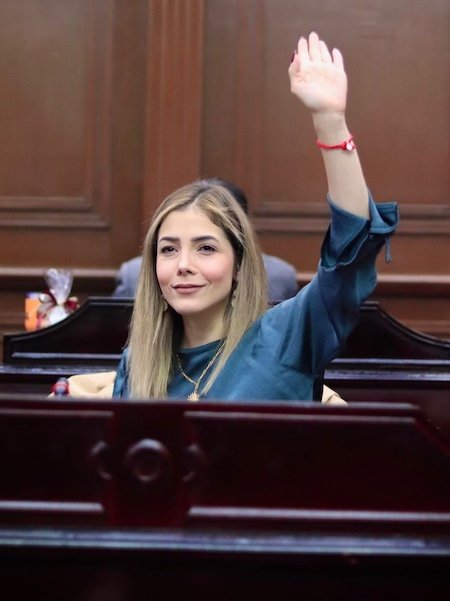 diputada brissa