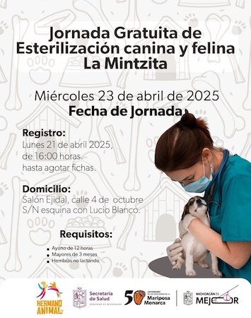 esterilizacion