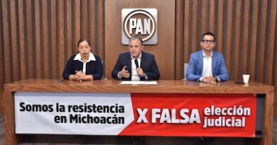 Morena busca endilgar el fraude de elección judicial a órganos electorales: PAN