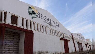 Roban 250 toneladas de maíz a Segalmex, en Penjamillo