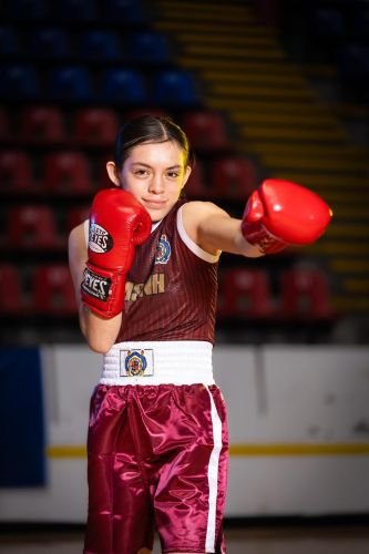 universidad box