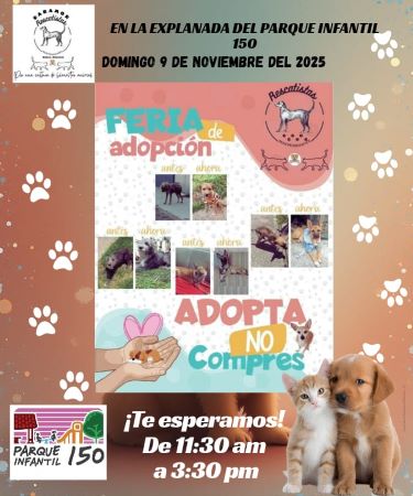 feria de adopcion