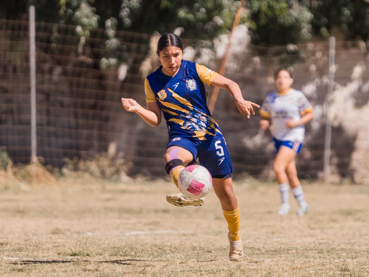 universida deportes