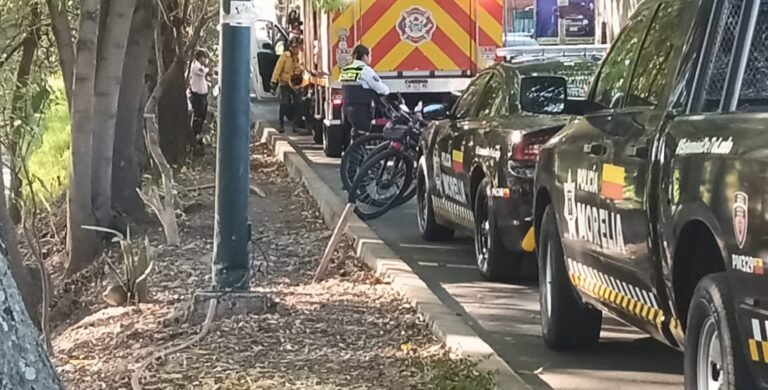 seguridad