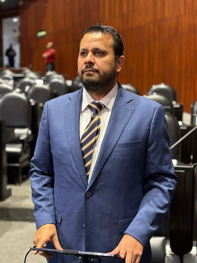 diputado