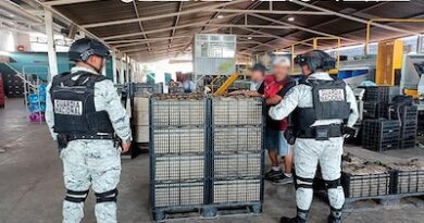 En operativo detienen a 10 presuntos delincuentes, aseguran 10 vehículos y ocho armas de fuego.