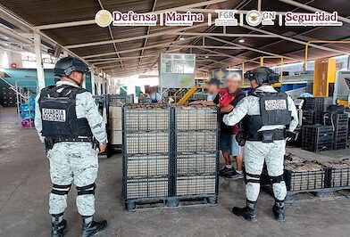 En operativo detienen a 10 presuntos delincuentes, aseguran 10 vehículos y ocho armas de fuego.