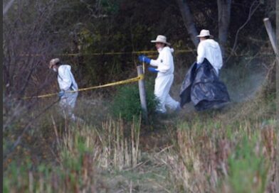 Localizan el cadáver de un hombre con impactos de bala en las inmediaciones del Lago de Cuitzeo