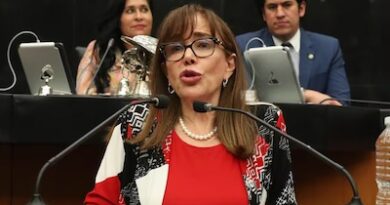 ‘Está fuera de toda realidad’: Polevnsky ve inviable elección de plurinominales en reforma electoral