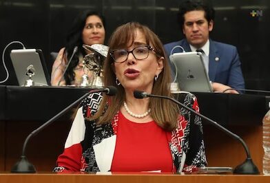 ‘Está fuera de toda realidad’: Polevnsky ve inviable elección de plurinominales en reforma electoral