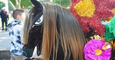 Toritos infantiles, muestra de continuidad generacional dentro del Carnaval del Torito de Petate: SeCultura Morelia