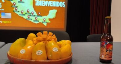 Gabriel Zamora será sede del 3er Foro Internacional del Mango: Sectur
