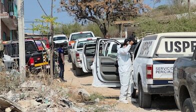 Una jauría de perros los responsables de la muerte de una mujer en la colonia Tres de Agosto.