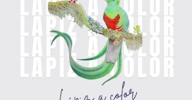 El Colegio de Morelia lanza opciones de talleres y cursos innovadores