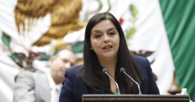 Propone diputada Tere Herrera endurecer medidas contra deudores alimentarios