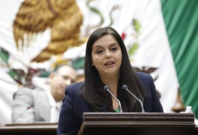 Propone diputada Tere Herrera endurecer medidas contra deudores alimentarios