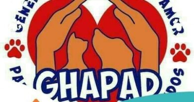 40 corazones peludos de GHAPAD buscan hogar; invitan a feria de adopción este fin de semana