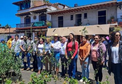 Impulsa Ayuntamiento de Quiroga la producción agrícola con entrega de árboles frutales