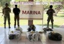 Aseguran más de 260 kilos de cocaína tras persecución marítima en costas de Michoacán.