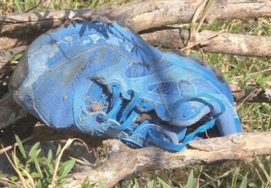 Localizan dos cuerpos y restos óseos en jornada de búsqueda en Jacona.