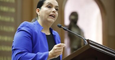 Impulsa diputada Tere Herrera iniciativa para garantizar reinserción laboral y justicia económica para mujeres en Michoacán