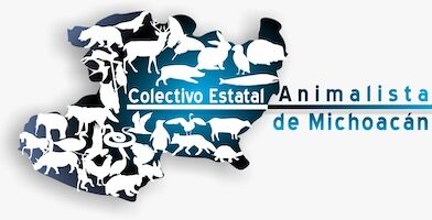 “Caballos bailadores”: tortura disfrazada de cultura, acusan colectivos; arremeten contra propuesta de Brissa Arroyo