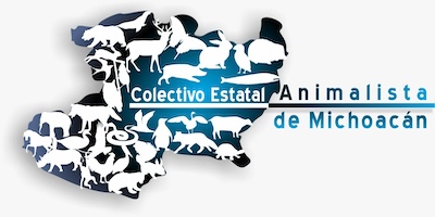 “Caballos bailadores”: tortura disfrazada de cultura, acusan colectivos; arremeten contra propuesta de Brissa Arroyo