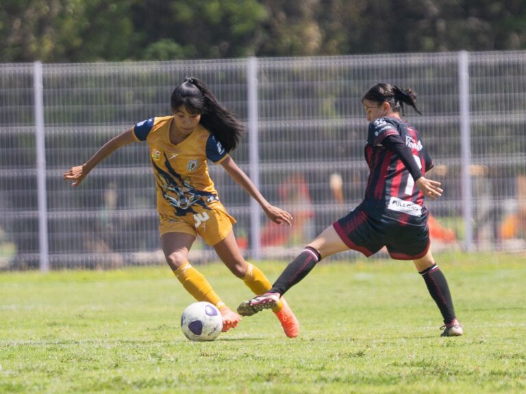 universidad deportes