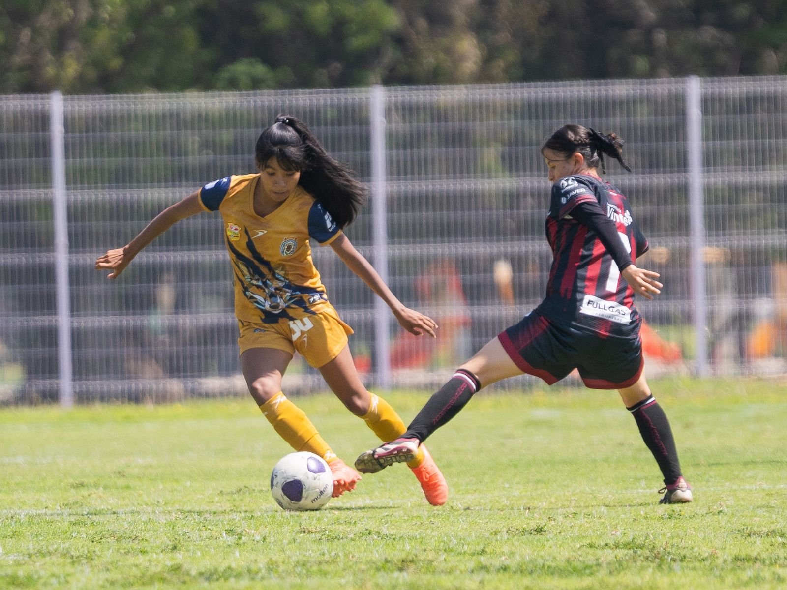 universidad deportes