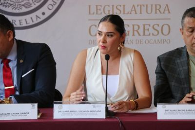 Reforma electoral debe hacerse en consenso y diálogo democrático: Diana Espinoza