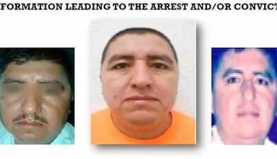 Nuevo golpe al CJNG: Detienen en Nayarit al ‘Jardinero’, posible sucesor del ‘Mencho’