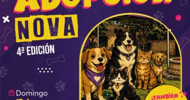 Michis exigentes busca Karen’s responsables; lomitos quieren amor en feria de adopción en Morelia🐱🐕