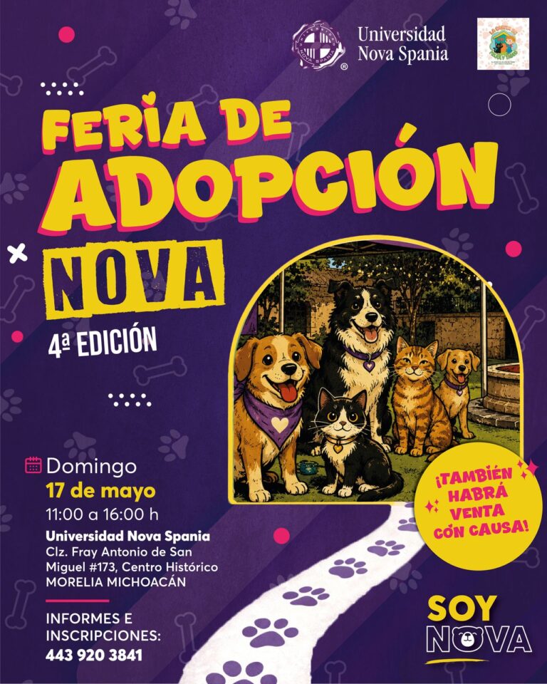 Feria de adopcion