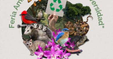 Gobierno de Morelia invita a vivir la Feria Ambiental de la Biodiversidad