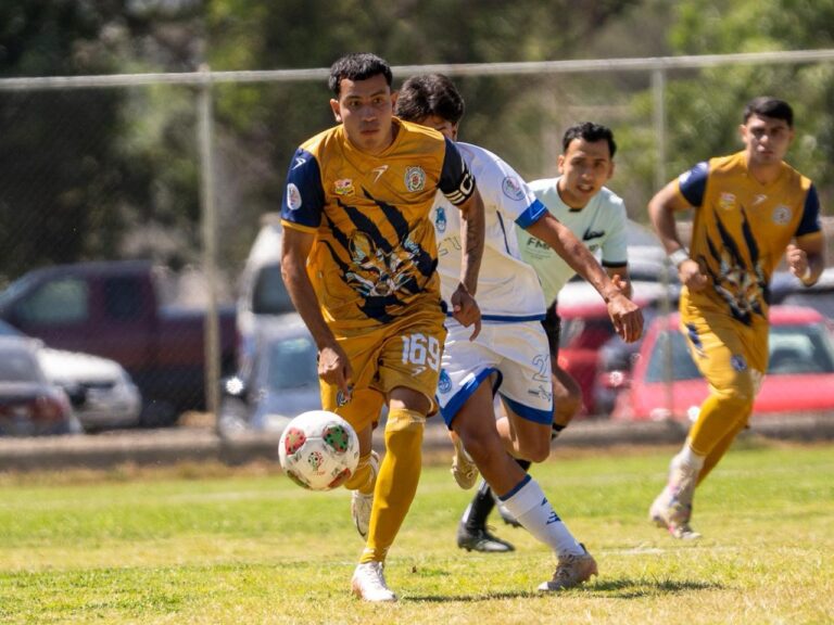 Universidad deportes