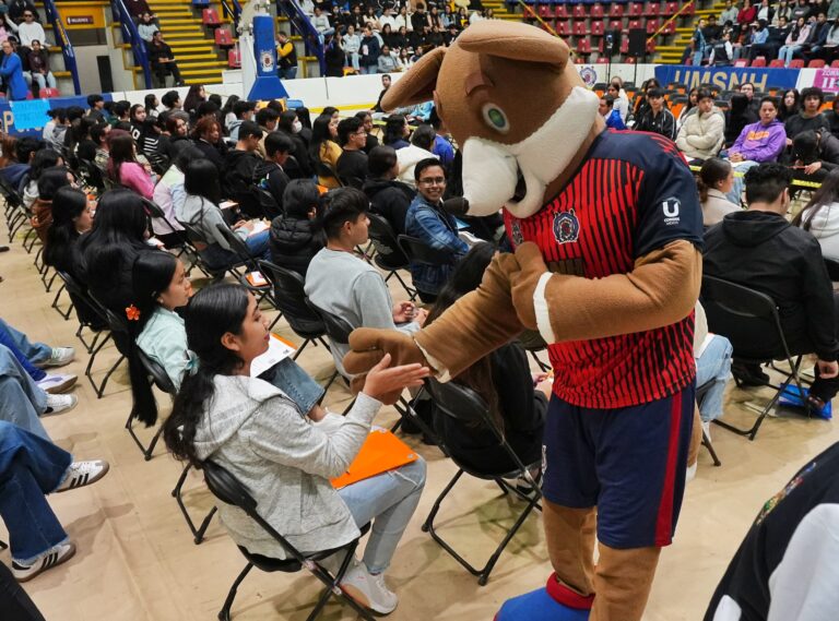 Universidad deportes