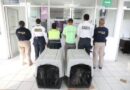 Policía Morelia detiene a dos personas por venta ilegal de cachorros en vía pública*