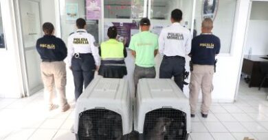 Policía Morelia detiene a dos personas por venta ilegal de cachorros en vía pública*