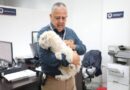 Investiga FGE posible caso de maltrato animal tras difusión de video en redes sociales*
