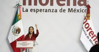 0Ariadna Montiel es la nueva presidenta de Morena: delinea estrategia rumbo al 2027