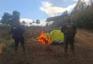 |Localizan Guardia Civil campamento clandestino en la Meseta Purépecha